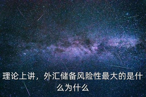 理論上講，外匯儲(chǔ)備風(fēng)險(xiǎn)性最大的是什么為什么