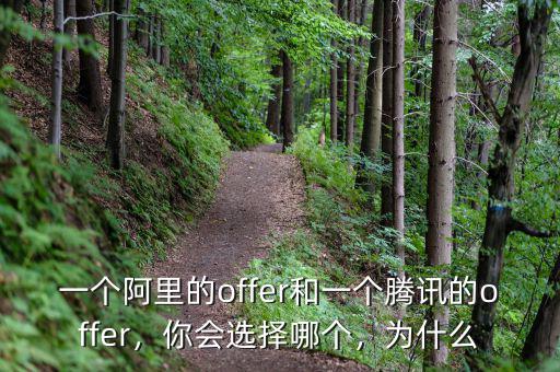 一個(gè)阿里的offer和一個(gè)騰訊的offer，你會(huì)選擇哪個(gè)，為什么