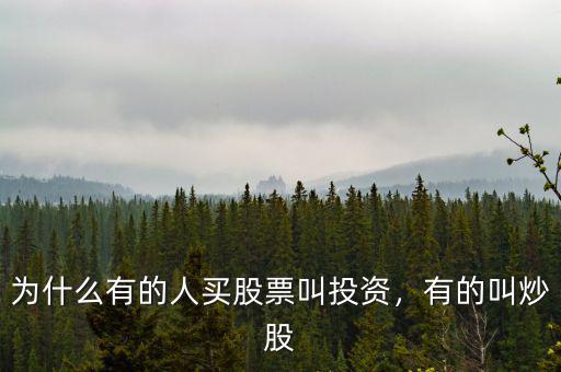 為什么有的人買(mǎi)股票叫投資，有的叫炒股