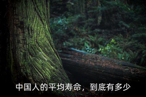 中國人的平均壽命，到底有多少