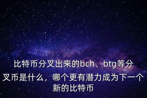 比特幣分叉出來的bch、btg等分叉幣是什么，哪個(gè)更有潛力成為下一個(gè)新的比特幣