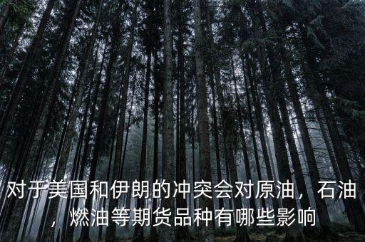 對(duì)于美國(guó)和伊朗的沖突會(huì)對(duì)原油，石油，燃油等期貨品種有哪些影響
