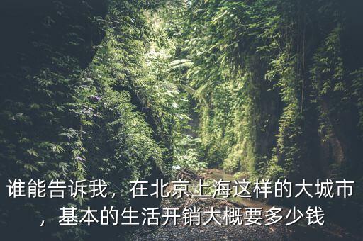 誰能告訴我，在北京上海這樣的大城市，基本的生活開銷大概要多少錢