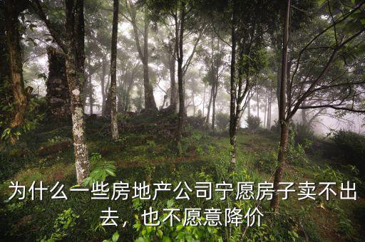 為什么一些房地產(chǎn)公司寧愿房子賣不出去，也不愿意降價(jià)