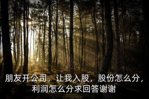 朋友開公司，讓我入股，股份怎么分，利潤怎么分求回答謝謝