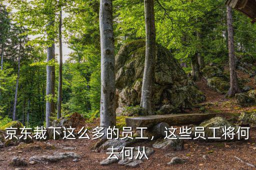 京東裁下這么多的員工，這些員工將何去何從