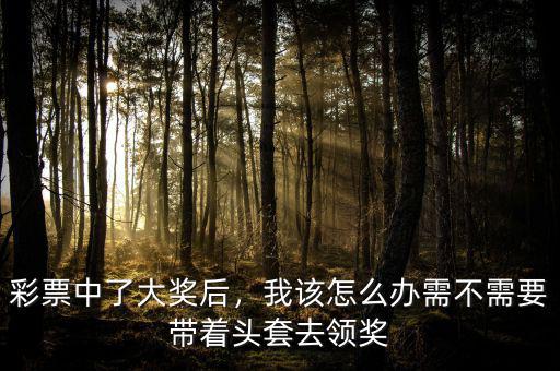 彩票中了大獎后，我該怎么辦需不需要帶著頭套去領(lǐng)獎