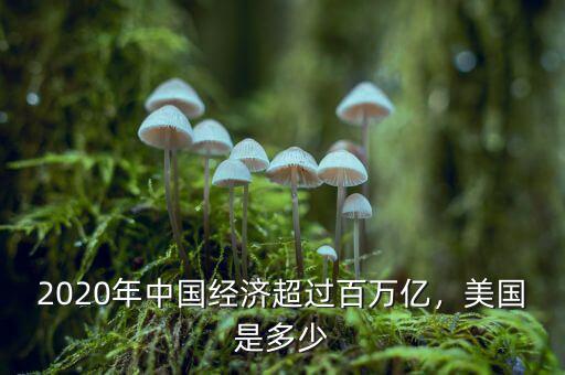 2020年中國經(jīng)濟超過百萬億，美國是多少