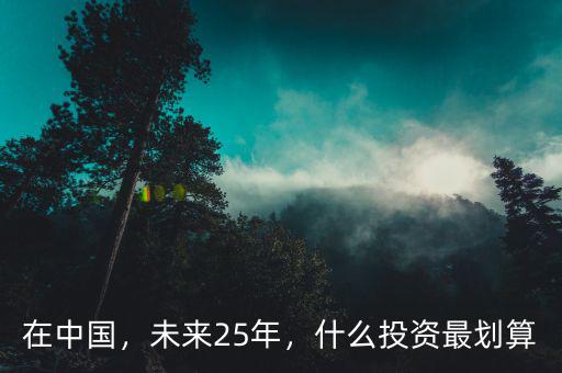 在中國(guó)，未來(lái)25年，什么投資最劃算