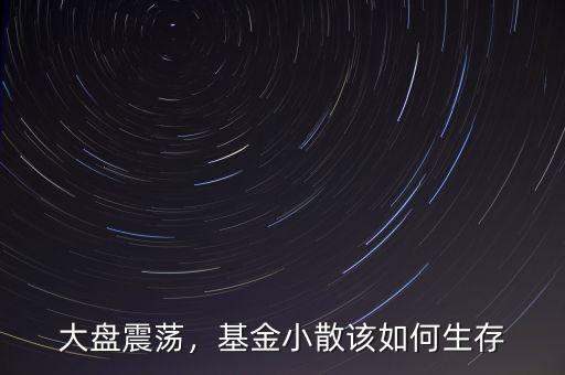 大盤(pán)震蕩，基金小散該如何生存