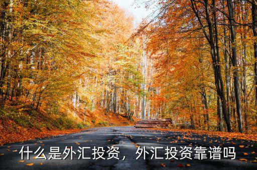 什么是外匯投資，外匯投資靠譜嗎