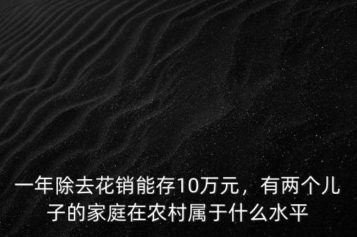 一年除去花銷能存10萬元，有兩個(gè)兒子的家庭在農(nóng)村屬于什么水平
