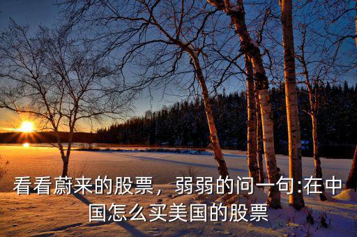 看看蔚來的股票，弱弱的問一句:在中國(guó)怎么買美國(guó)的股票
