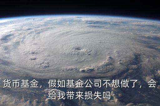 貨幣基金，假如基金公司不想做了，會(huì)給我?guī)?lái)?yè)p失嗎