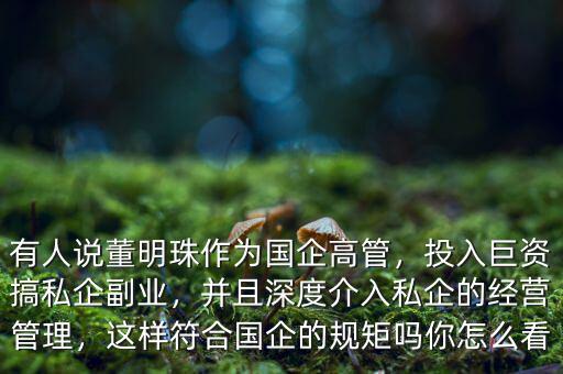有人說董明珠作為國企高管，投入巨資搞私企副業(yè)，并且深度介入私企的經(jīng)營管理，這樣符合國企的規(guī)矩嗎你怎么看