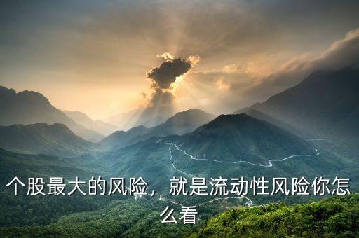 流動性風險是什么,就是流動性風險。你怎么看