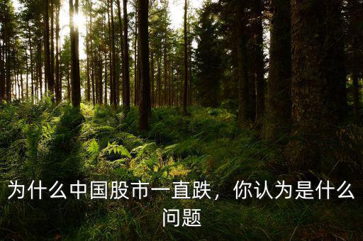 為什么中國(guó)股市一直跌，你認(rèn)為是什么問(wèn)題