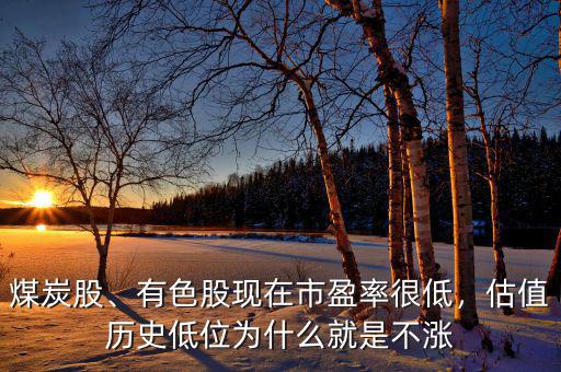 煤炭股、有色股現(xiàn)在市盈率很低，估值歷史低位為什么就是不漲