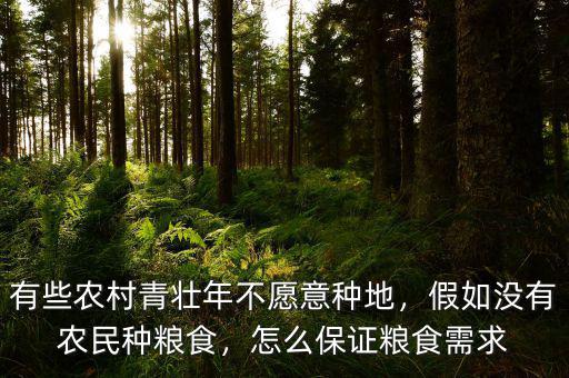 有些農(nóng)村青壯年不愿意種地，假如沒(méi)有農(nóng)民種糧食，怎么保證糧食需求