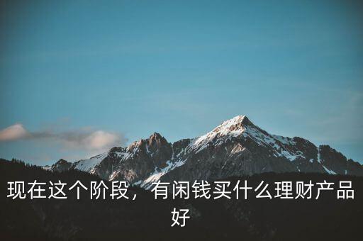 現(xiàn)在這個階段，有閑錢買什么理財產(chǎn)品好
