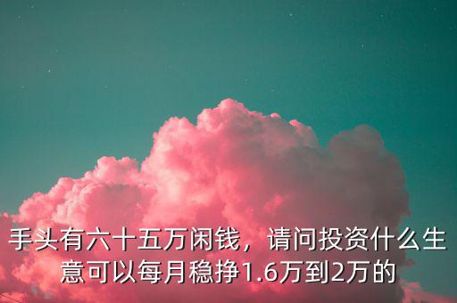 手頭有六十五萬閑錢，請問投資什么生意可以每月穩(wěn)掙1.6萬到2萬的