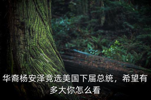 華裔楊安澤競(jìng)選美國(guó)下屆總統(tǒng)，希望有多大你怎么看