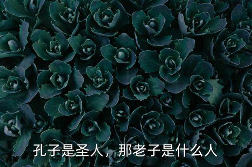 孔子是圣人，那老子是什么人