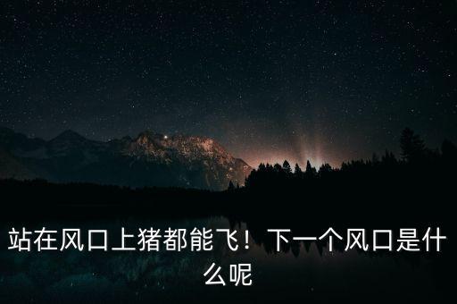 站在風(fēng)口上豬都能飛！下一個(gè)風(fēng)口是什么呢