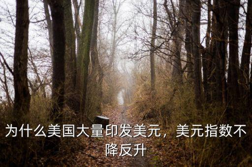 為什么美國(guó)大量印發(fā)美元，美元指數(shù)不降反升