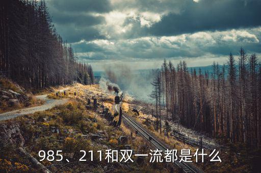 985、211和雙一流都是什么