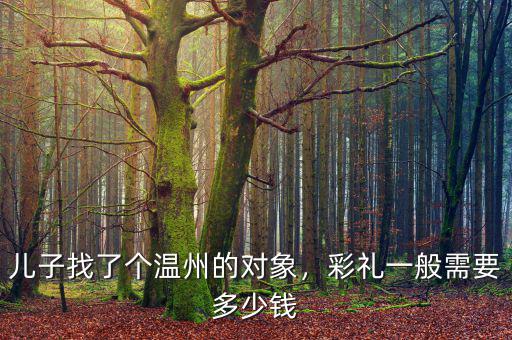 兒子找了個溫州的對象，彩禮一般需要多少錢