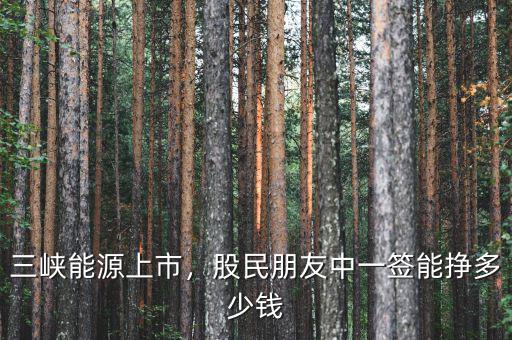 三峽能源上市，股民朋友中一簽?zāi)軖甓嗌馘X