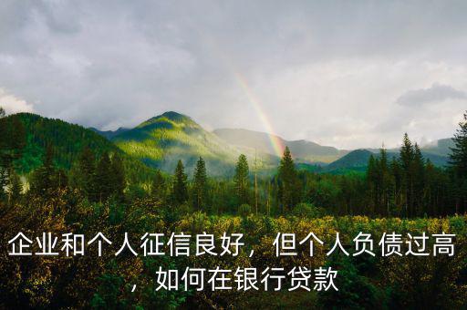 企業(yè)和個(gè)人征信良好，但個(gè)人負(fù)債過高，如何在銀行貸款