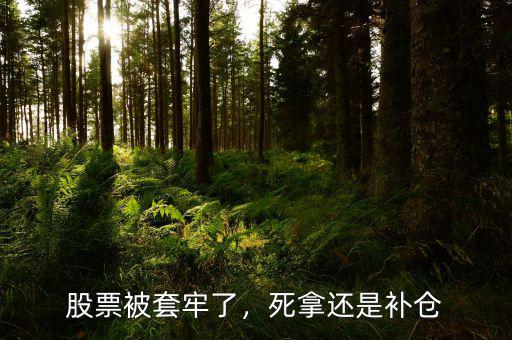 股票被套牢了，死拿還是補(bǔ)倉(cāng)