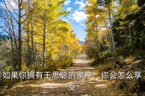 如果你擁有王思聰?shù)募耶a(chǎn)，你會(huì)怎么享受