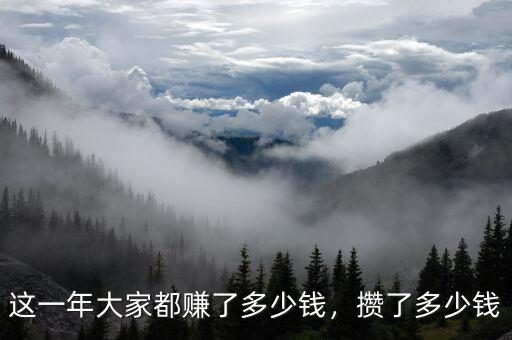 這一年大家都賺了多少錢，攢了多少錢