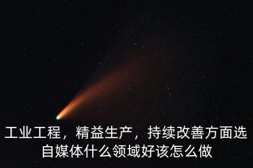 工業(yè)工程，精益生產，持續(xù)改善方面選自媒體什么領域好該怎么做