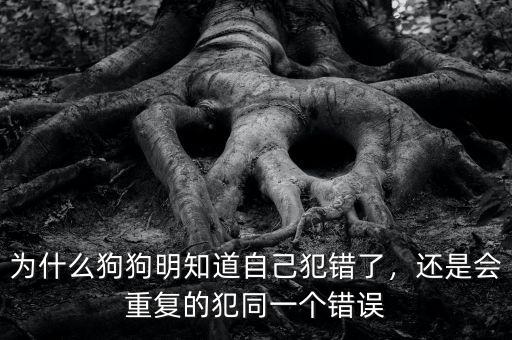 為什么狗狗明知道自己犯錯(cuò)了，還是會(huì)重復(fù)的犯同一個(gè)錯(cuò)誤