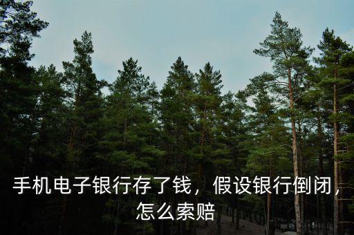 手機(jī)電子銀行存了錢，假設(shè)銀行倒閉，怎么索賠