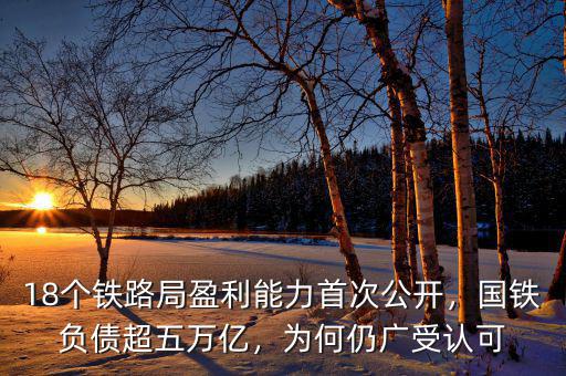 18個(gè)鐵路局盈利能力首次公開(kāi)，國(guó)鐵負(fù)債超五萬(wàn)億，為何仍廣受認(rèn)可