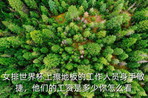 女排世界杯上擦地板的工作人員身手敏捷，他們的工資是多少你怎么看