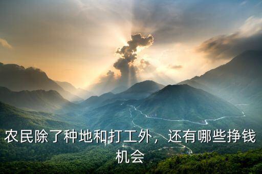 農(nóng)民除了種地和打工外，還有哪些掙錢機會