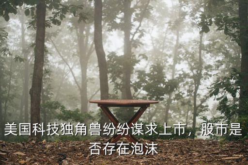 美國(guó)科技獨(dú)角獸紛紛謀求上市，股市是否存在泡沫