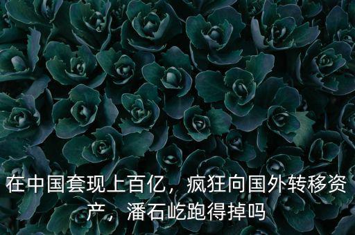 在中國套現(xiàn)上百億，瘋狂向國外轉(zhuǎn)移資產(chǎn)，潘石屹跑得掉嗎