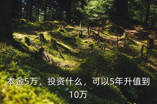 本金5萬，投資什么，可以5年升值到10萬