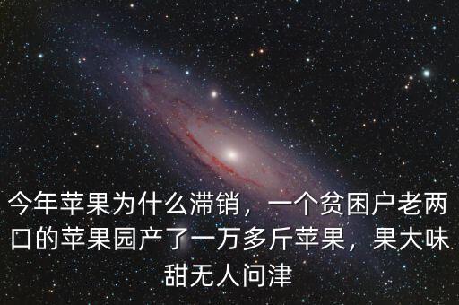 今年蘋果為什么滯銷，一個貧困戶老兩口的蘋果園產(chǎn)了一萬多斤蘋果，果大味甜無人問津