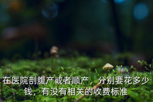 在醫(yī)院剖腹產(chǎn)或者順產(chǎn)，分別要花多少錢，有沒有相關(guān)的收費標準