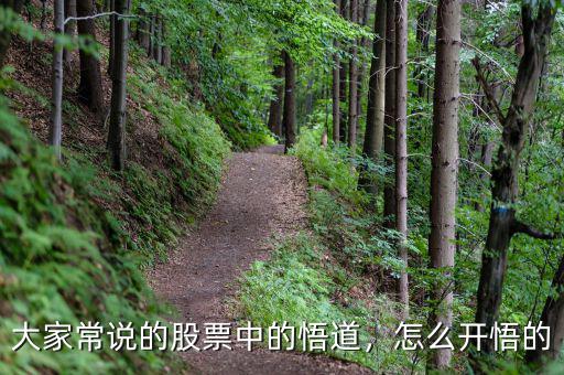 大家常說的股票中的悟道，怎么開悟的