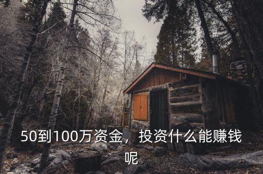 50到100萬資金，投資什么能賺錢呢