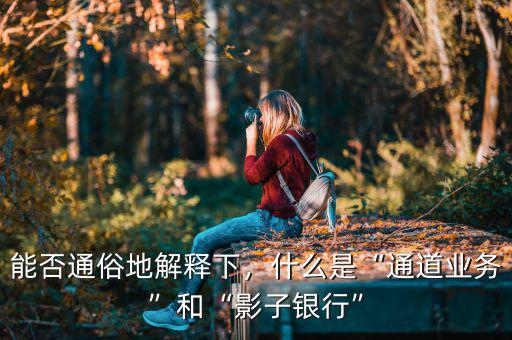 能否通俗地解釋下，什么是“通道業(yè)務(wù)”和“影子銀行”